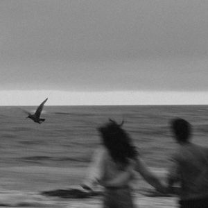 天天射天天干天天日
